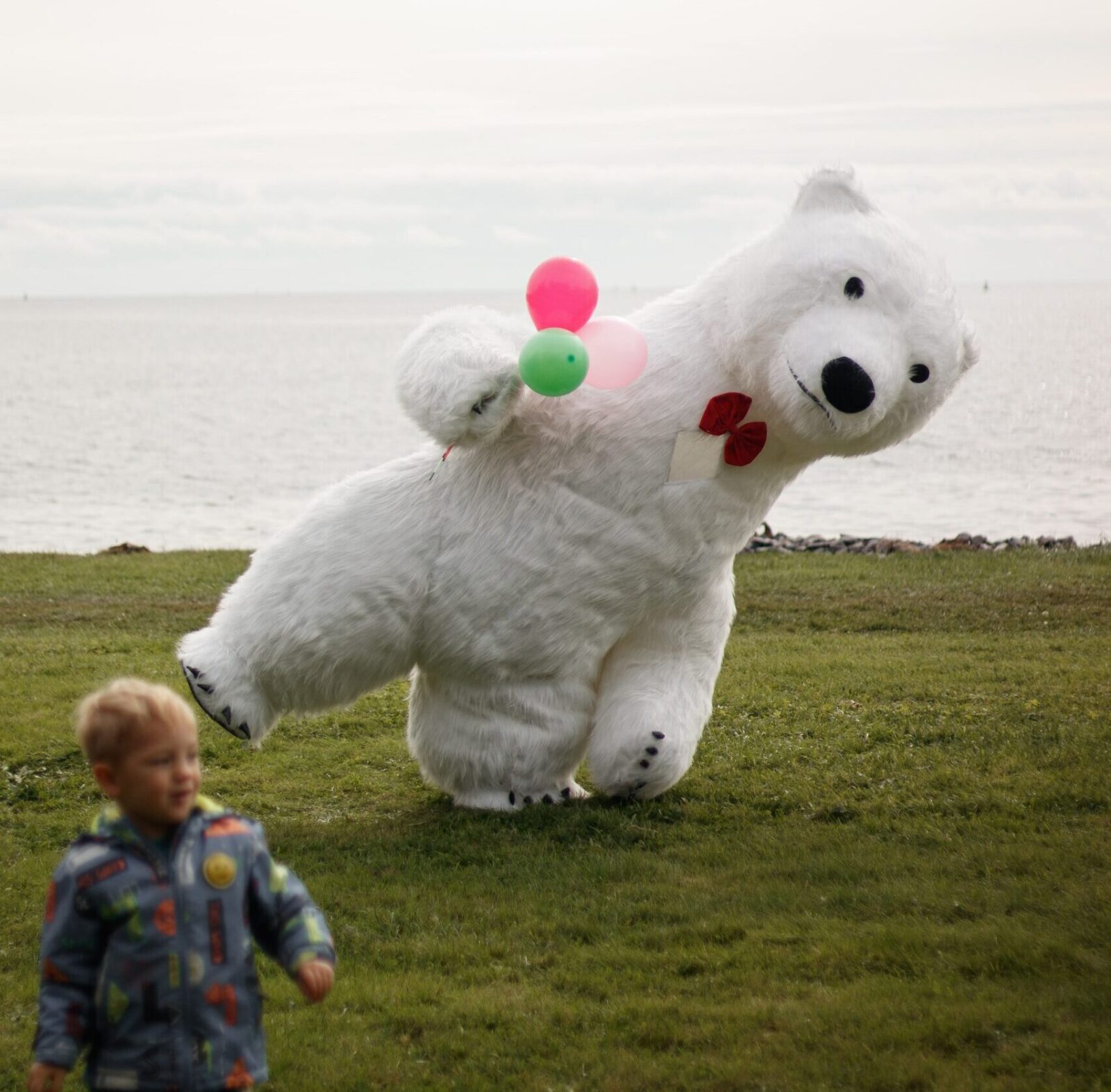 Giant bear in Halifax express congratulation