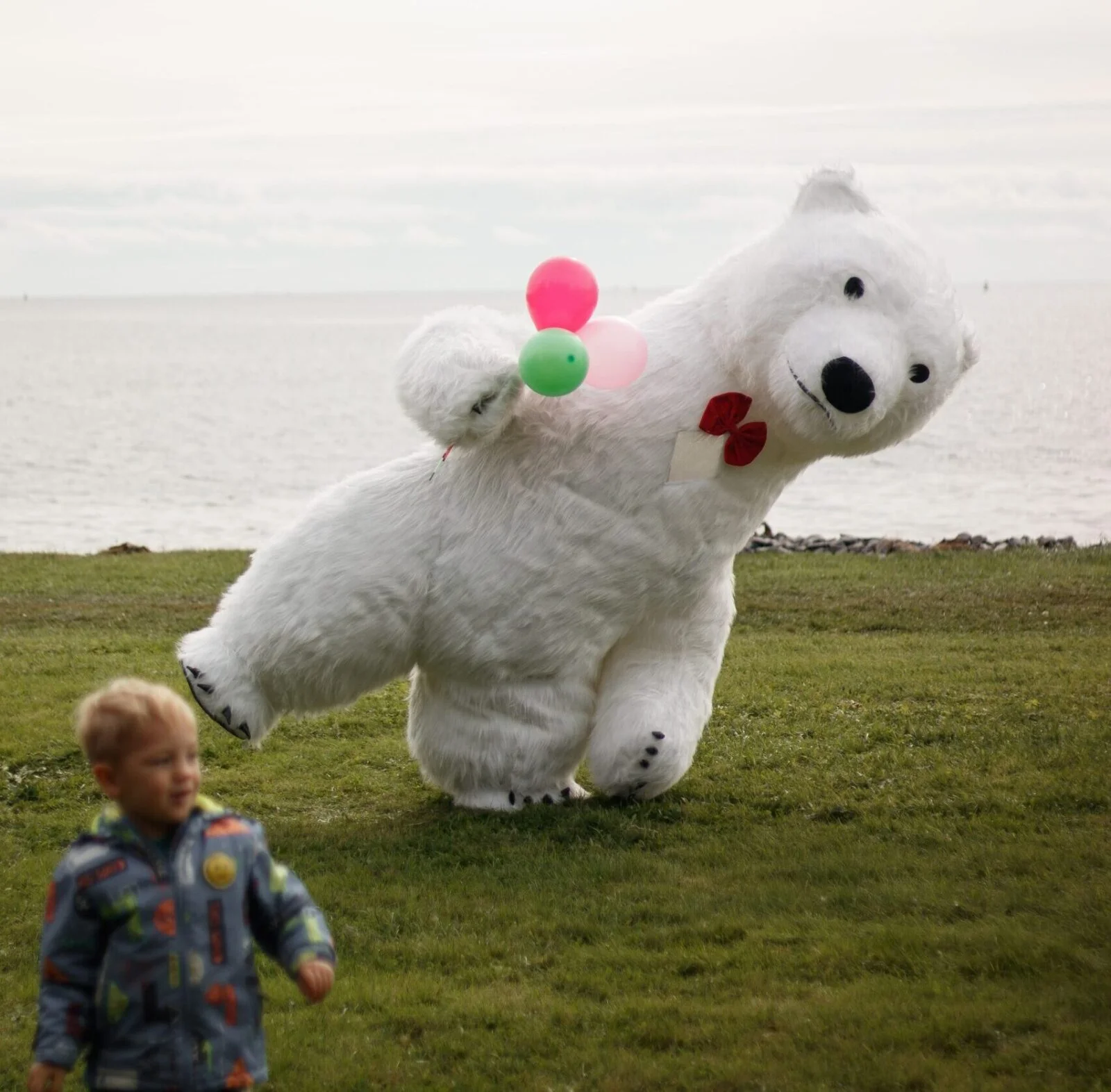 Giant bear in Halifax express congratulation