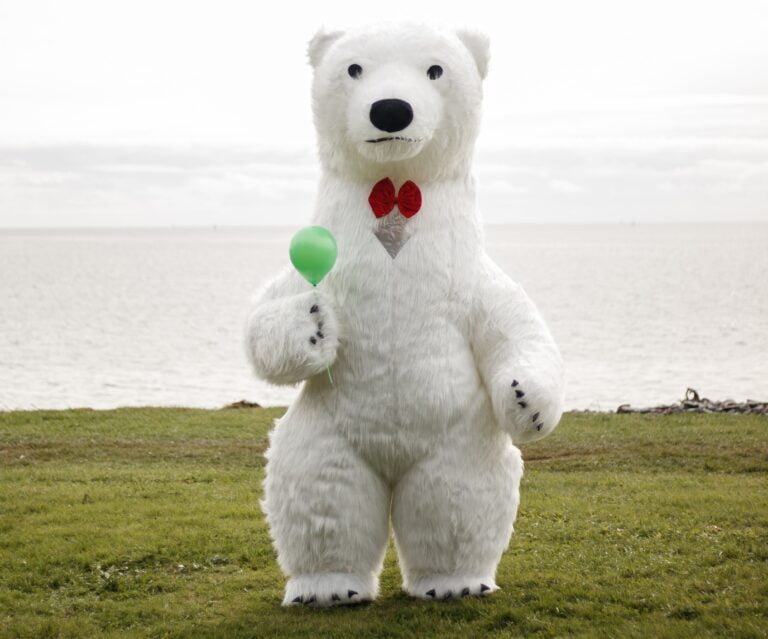 Giant bear in Halifax kids birthday party in halifax